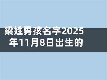 梁姓男孩名字2025年11月8日出生的