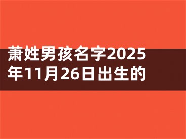 萧姓男孩名字2025年11月26日出生的
