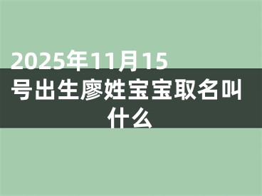 2025年11月15号出生廖姓宝宝取名叫什么