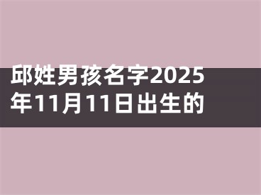 邱姓男孩名字2025年11月11日出生的