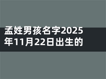 孟姓男孩名字2025年11月22日出生的