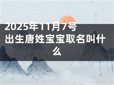 2025年11月7号出生唐姓宝宝取名叫什么