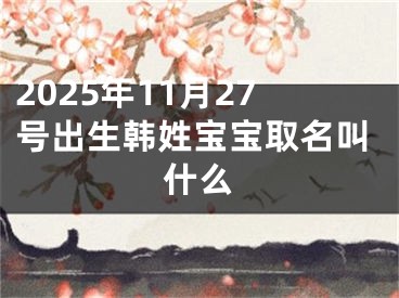 2025年11月27号出生韩姓宝宝取名叫什么