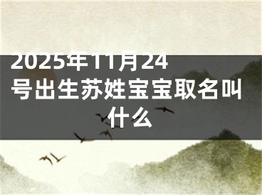 2025年11月24号出生苏姓宝宝取名叫什么