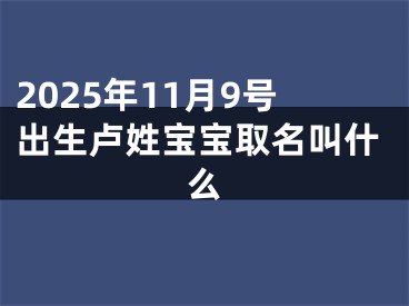 2025年11月9号出生卢姓宝宝取名叫什么