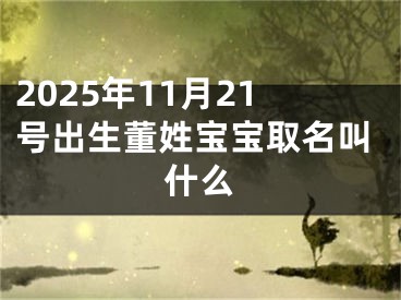 2025年11月21号出生董姓宝宝取名叫什么