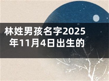 林姓男孩名字2025年11月4日出生的