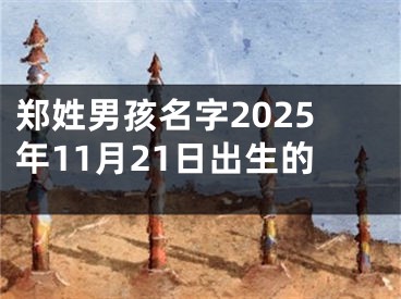 郑姓男孩名字2025年11月21日出生的