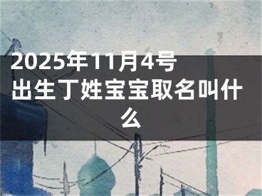 2025年11月4号出生丁姓宝宝取名叫什么