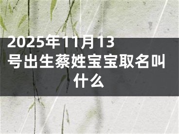2025年11月13号出生蔡姓宝宝取名叫什么
