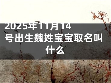 2025年11月14号出生魏姓宝宝取名叫什么