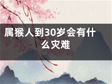 属猴人到30岁会有什么灾难