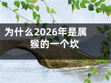 为什么2026年是属猴的一个坎