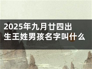 2025年九月廿四出生王姓男孩名字叫什么