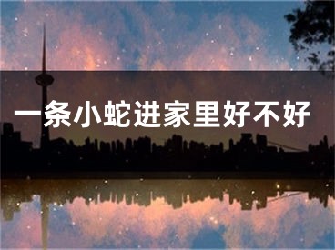 一条小蛇进家里好不好