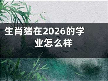 生肖猪在2026的学业怎么样
