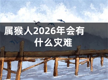 属猴人2026年会有什么灾难