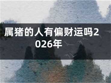 属猪的人有偏财运吗2026年
