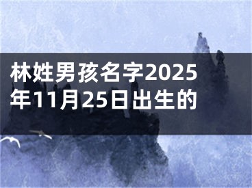 林姓男孩名字2025年11月25日出生的