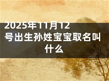 2025年11月12号出生孙姓宝宝取名叫什么
