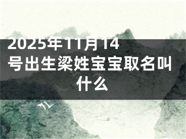 2025年11月14号出生梁姓宝宝取名叫什么