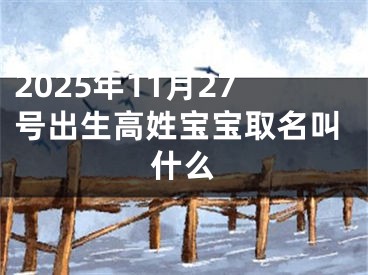 2025年11月27号出生高姓宝宝取名叫什么