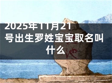 2025年11月21号出生罗姓宝宝取名叫什么