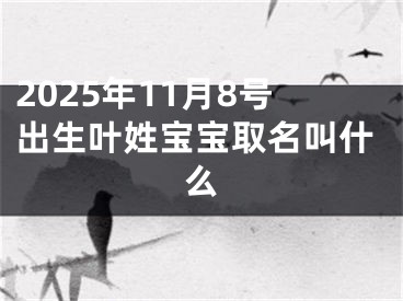 2025年11月8号出生叶姓宝宝取名叫什么