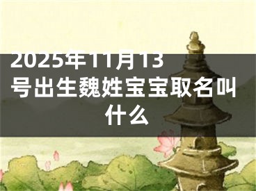 2025年11月13号出生魏姓宝宝取名叫什么