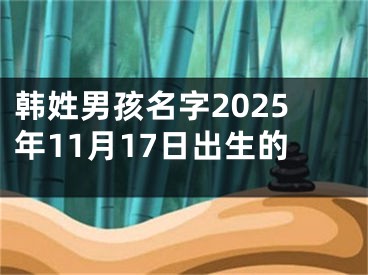 韩姓男孩名字2025年11月17日出生的