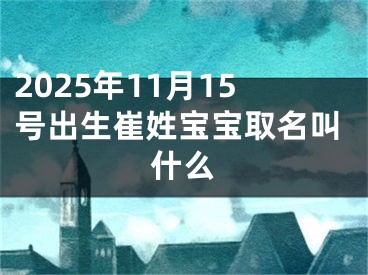 2025年11月15号出生崔姓宝宝取名叫什么
