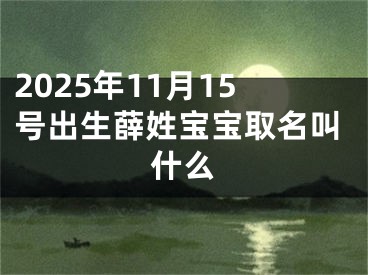 2025年11月15号出生薛姓宝宝取名叫什么