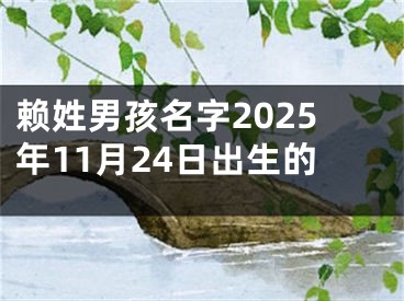赖姓男孩名字2025年11月24日出生的