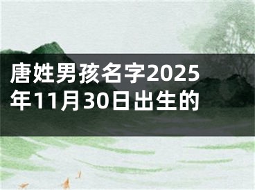 唐姓男孩名字2025年11月30日出生的