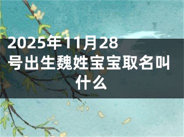 2025年11月28号出生魏姓宝宝取名叫什么