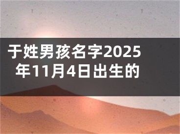 于姓男孩名字2025年11月4日出生的