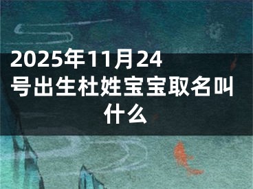 2025年11月24号出生杜姓宝宝取名叫什么