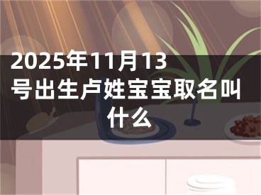 2025年11月13号出生卢姓宝宝取名叫什么