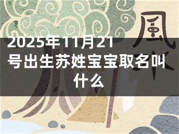2025年11月21号出生苏姓宝宝取名叫什么