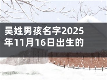 吴姓男孩名字2025年11月16日出生的