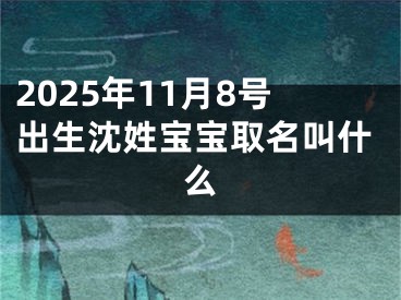 2025年11月8号出生沈姓宝宝取名叫什么