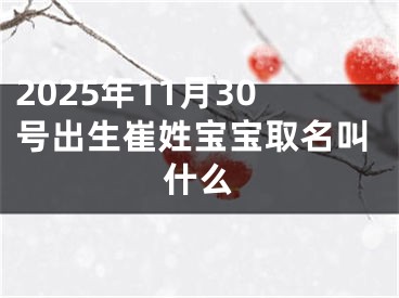 2025年11月30号出生崔姓宝宝取名叫什么