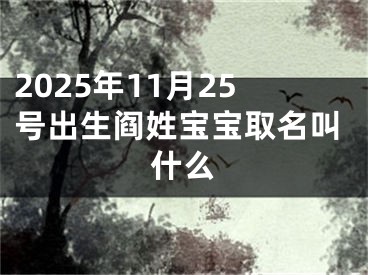 2025年11月25号出生阎姓宝宝取名叫什么