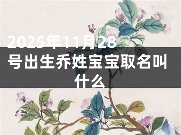 2025年11月28号出生乔姓宝宝取名叫什么
