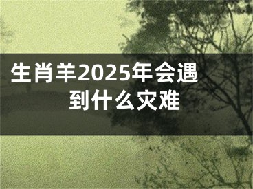 生肖羊2025年会遇到什么灾难