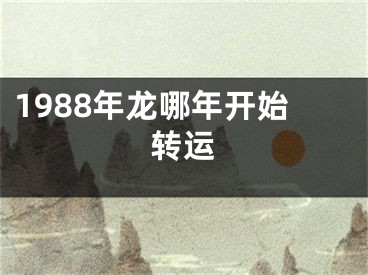 1988年龙哪年开始转运