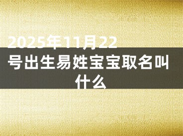 2025年11月22号出生易姓宝宝取名叫什么