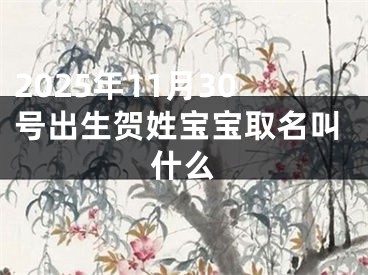 2025年11月30号出生贺姓宝宝取名叫什么