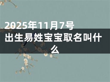 2025年11月7号出生易姓宝宝取名叫什么