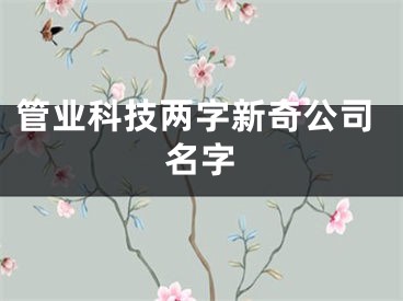 管业科技两字新奇公司名字